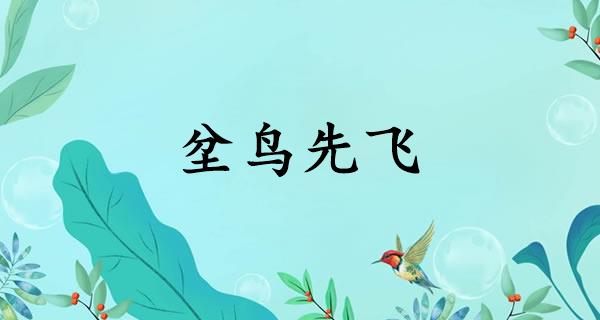 坌鸟先飞