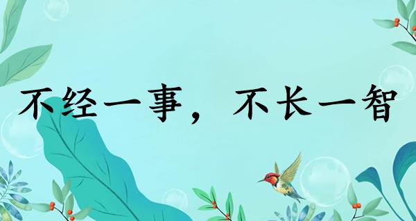 不经一事,不长一智