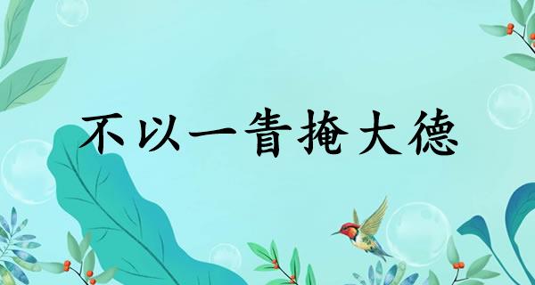 不以一眚掩大德