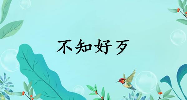不知好歹