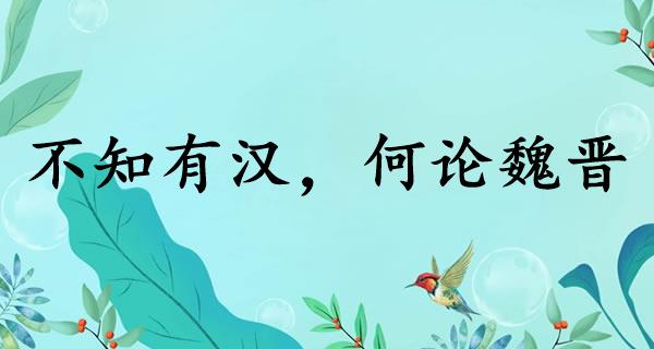 不知有汉,何论魏晋