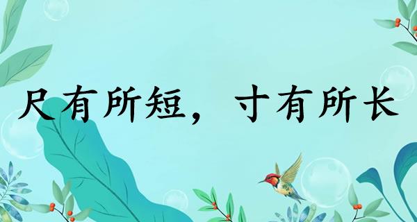 尺有所短，寸有所长
