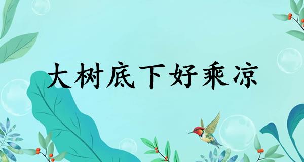 大树底下好乘凉
