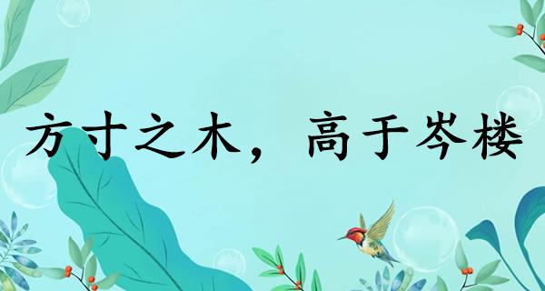 方寸之木，高于岑楼