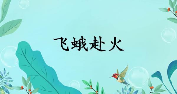 飞蛾赴火