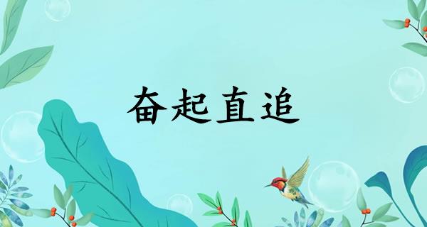 奋起直追