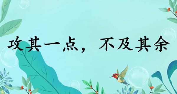 攻其一点，不及其余