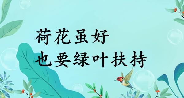 荷花虽好，也要绿叶扶持
