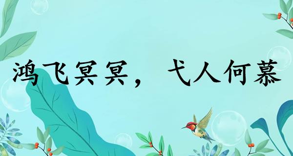 鸿飞冥冥，弋人何慕