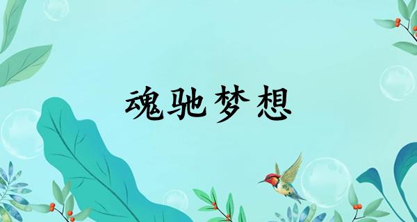 魂驰梦想