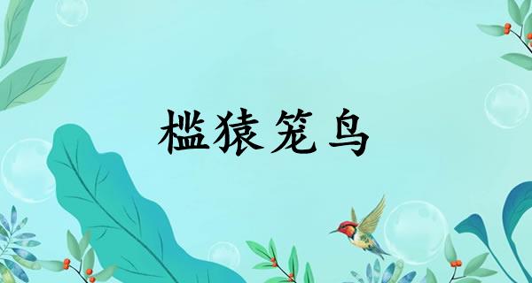 槛猿笼鸟