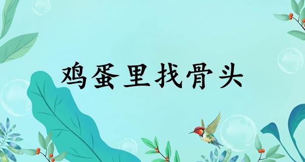 鸡蛋里找骨头
