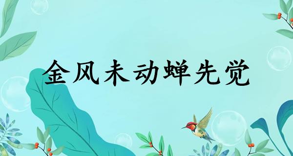 金风未动蝉先觉