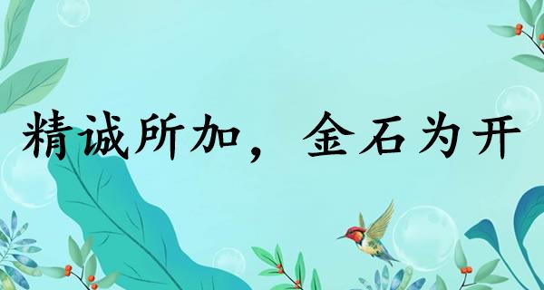 精诚所加，金石为开
