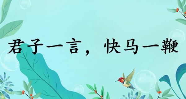 君子一言，快马一鞭