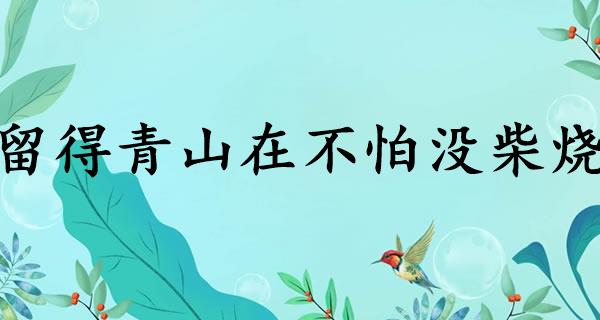 留得青山在不怕没柴烧