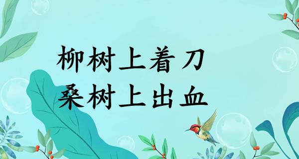柳树上着刀，桑树上出血
