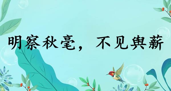 明察秋毫，不见舆薪
