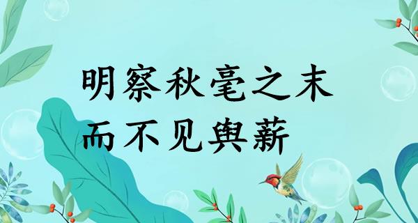 明察秋毫之末，而不见舆薪