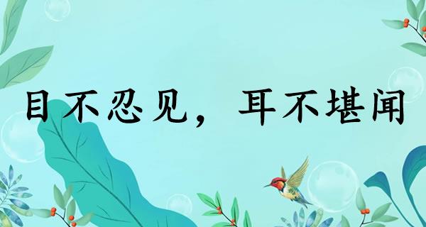 目不忍见，耳不堪闻