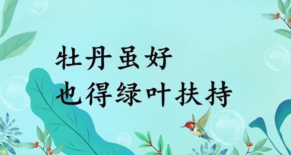 牡丹虽好,也得绿叶扶持