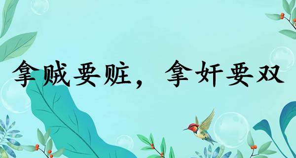 拿贼要赃，拿奸要双