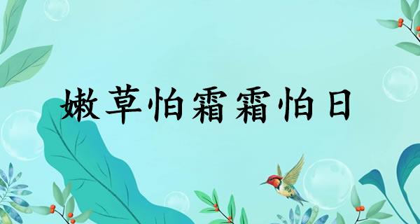 嫩草怕霜霜怕日