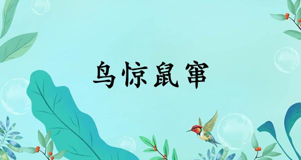 鸟惊鼠窜