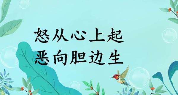 怒从心上起，恶向胆边生