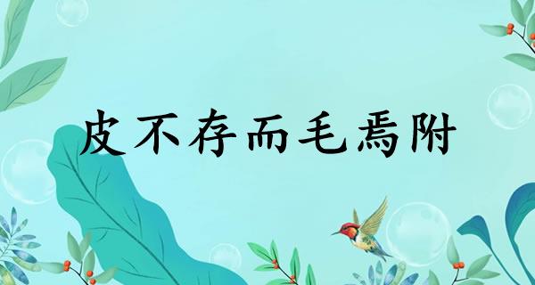 皮不存而毛焉附