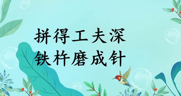 拼得工夫深，铁杵磨成针