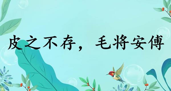 皮之不存，毛将安傅