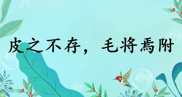 皮之不存，毛将焉附