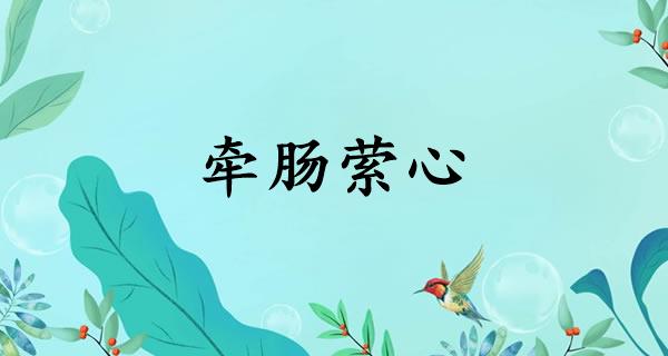 牵肠萦心