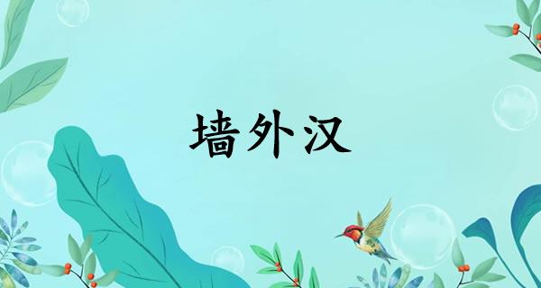 墙外汉