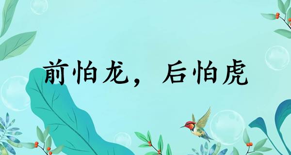前怕龙，后怕虎
