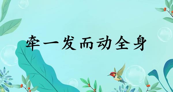 牵一发而动全身