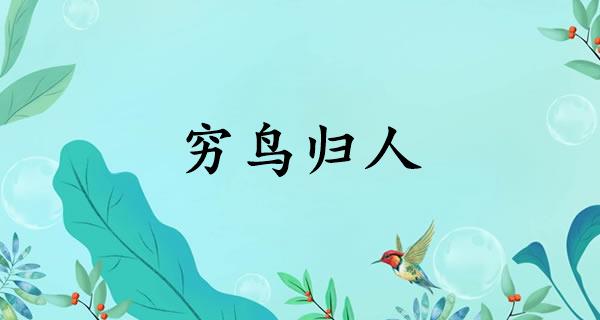 穷鸟归人