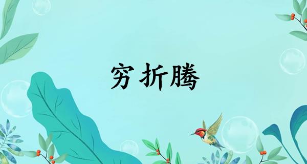 穷折腾