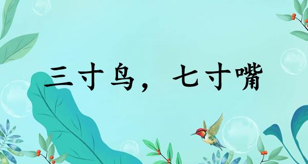 三寸鸟，七寸嘴