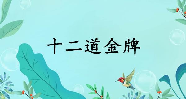十二道金牌