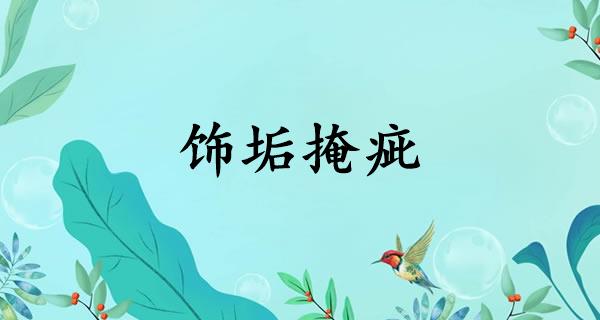 饰垢掩疵