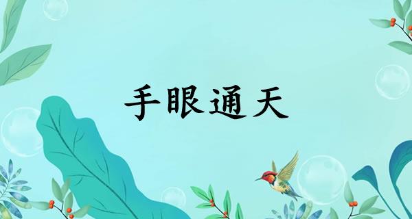 手眼通天