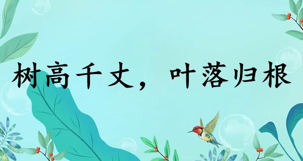 树高千丈,叶落归根