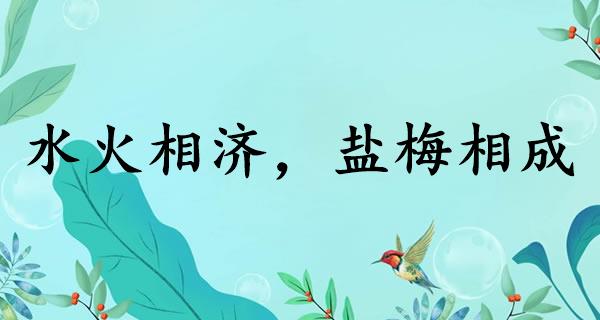 水火相济，盐梅相成