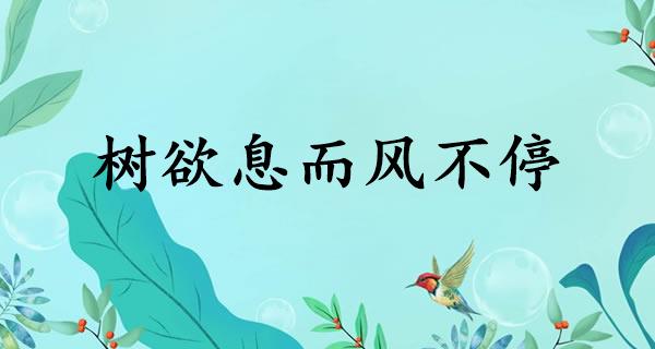 树欲息而风不停