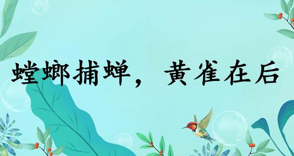 螳螂捕蝉,黄雀在后