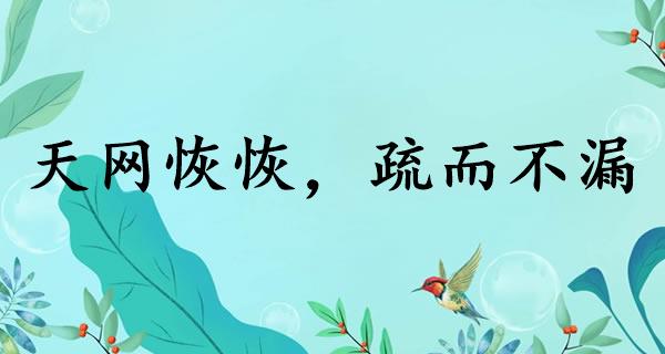 天网恢恢，疏而不漏