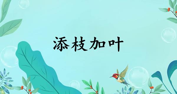 添枝加叶