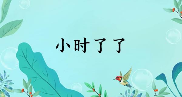 小时了了